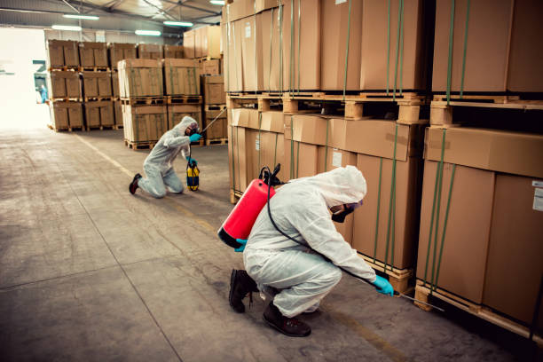Best Pest Removal Services  in Samoset, FL