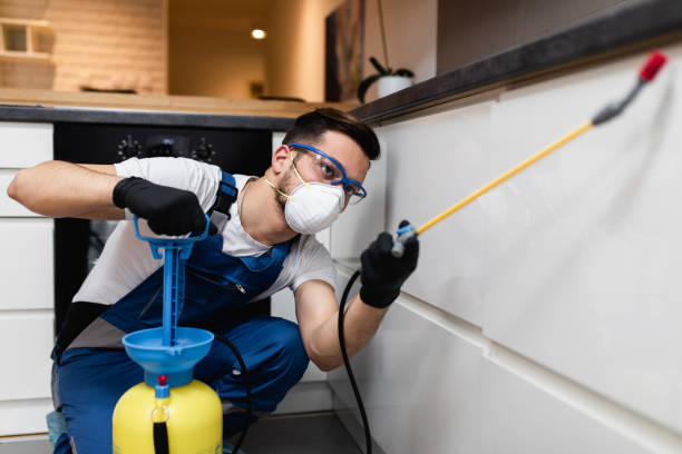 Best Wasp Removal Services  in Samoset, FL