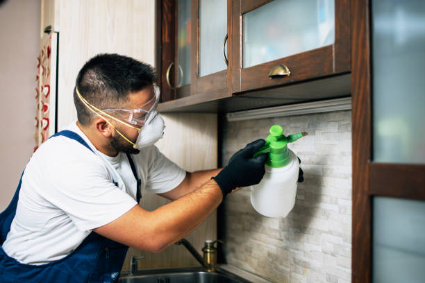 Best Flea Control Services  in Samoset, FL