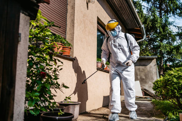 Best Pest Removal Services  in Samoset, FL