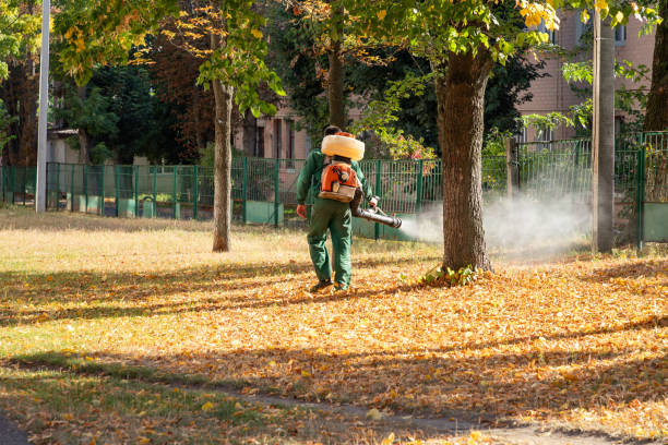 Best Termite Control Services  in Samoset, FL