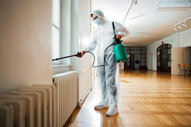 Best Flea Control Services  in Samoset, FL