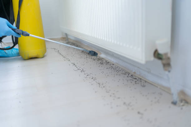 Best Cockroach Control Services  in Samoset, FL