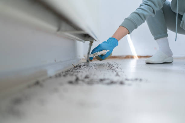 Best Pest Prevention Services  in Samoset, FL